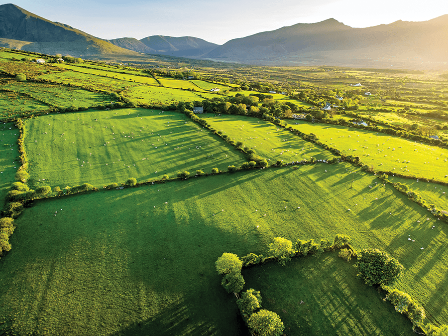 Irish Industry Set to Educate the Next Generation of Innovators