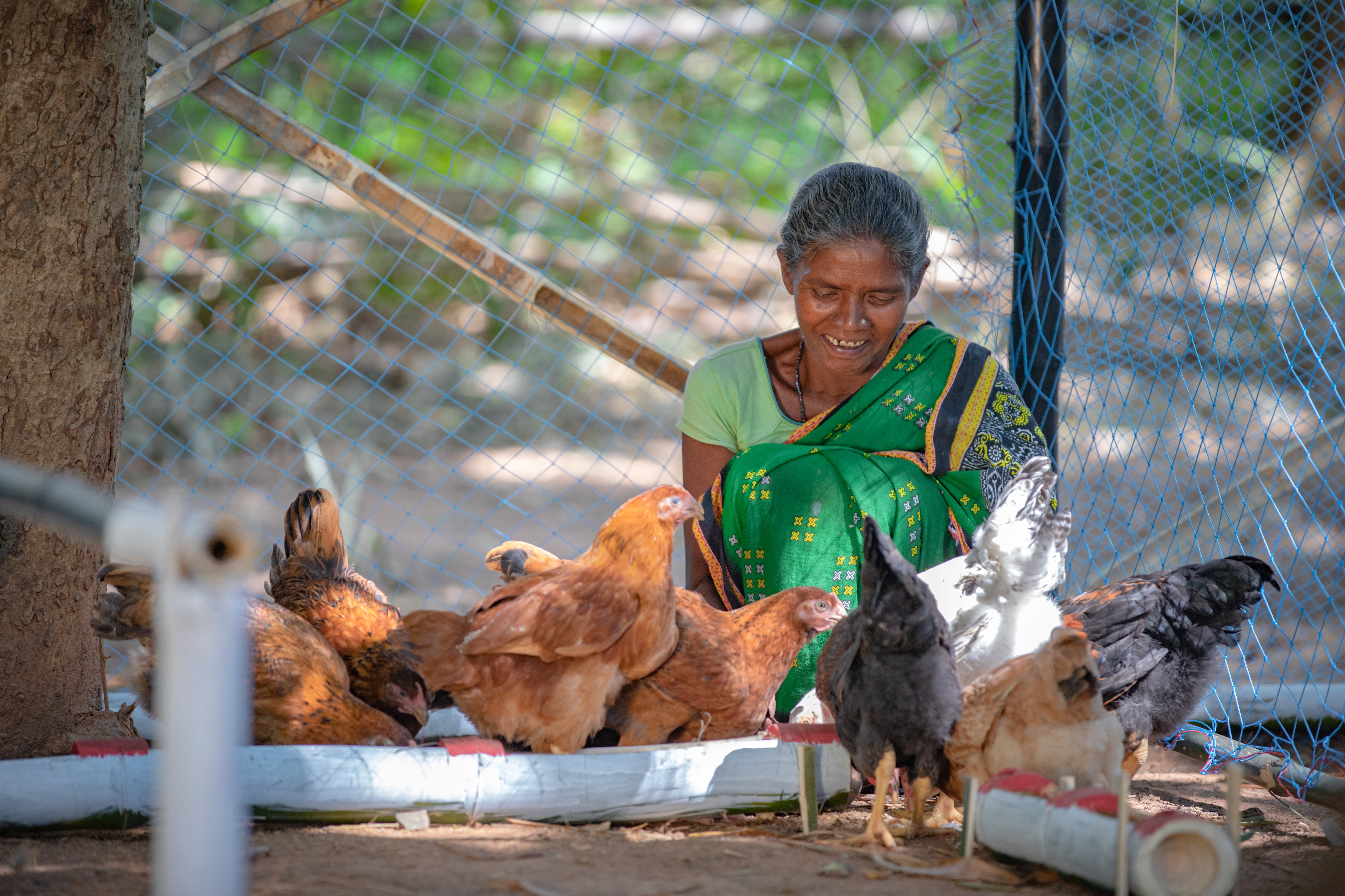 Bird Flu Should Sharpen Focus on Poorest Farmers